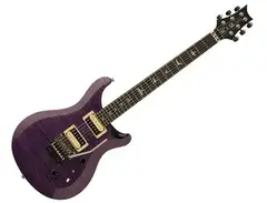 PRS SE Custom 24 Floyd