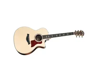 Aria FE-60 Elecord - What To Know & Where To Buy | Equipboard