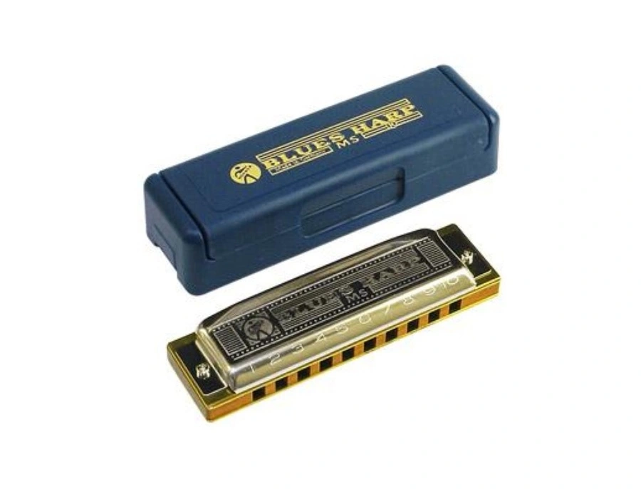 Armonica Hohner Blues Harp - Chiave Di G, 20 Ance, Legno, Fatto In Germania - Foto 6