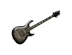 Caparison JSM, Joel Stroetzel Signature Model