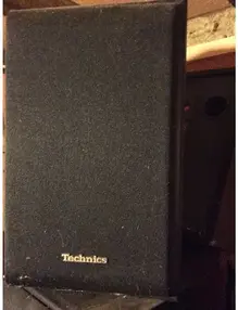 Technics SB-LV105 2 Way Stereo Speakers