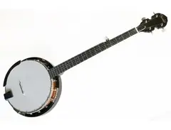 Fender FB-300 Banjo