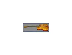 1999 Waterland Jan Akkerman Custom-Made Guitar