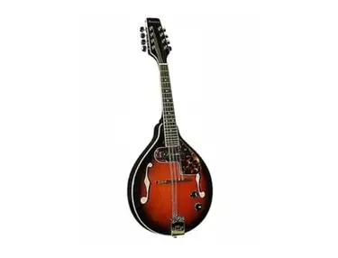 Samick Mandolin