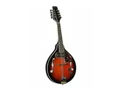 Samick Mandolin main image