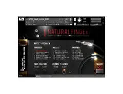 8DIO Steel String Soloist main image