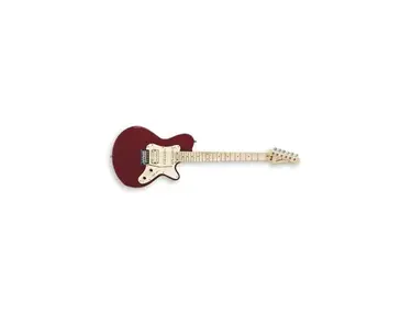 Godin SD