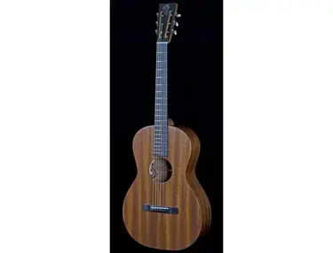Patrick James Eggle Custom Jake Bugg - Parlour Acoustic Guitar