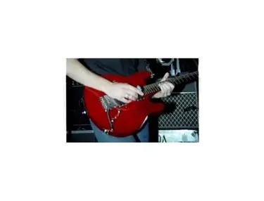 Plank ED1 Custom Electric Guitar