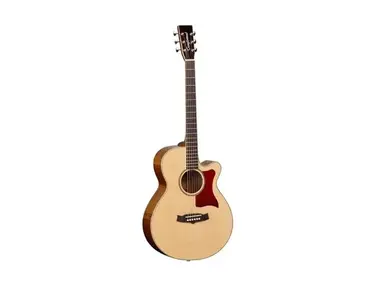 Tanglewood TW45 HSRB Sundance Heritage Series Rosweood Back