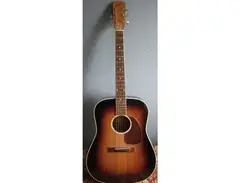 Levin Goliath LM-26 Acoustic Guitar