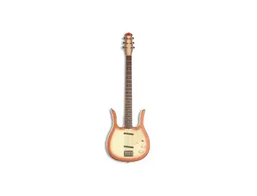Jerry Jones Longhorn 6-String Bass