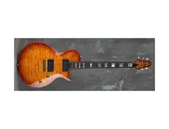 Carvin Guitars Custom Shop CS6M Electric Guitar
