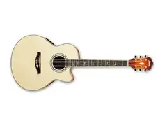 Ibanez AEL 40SE RLV