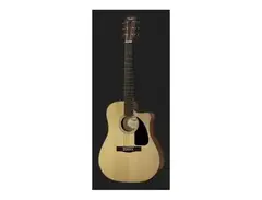 Fender CD-100 CE NA main image