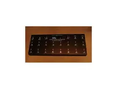 Custom Audio Electronics RS-T MIDI Foot Controller