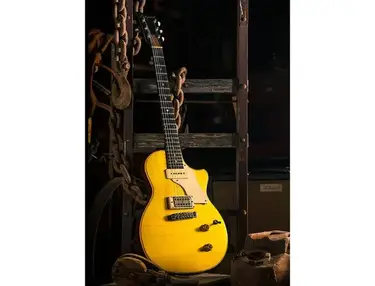 Echopark Guitars '55 Gold