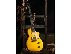 Echopark Guitars '55 Gold main image