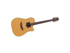 Takamine EN15 Acoustic Guitar