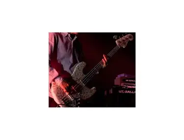 Fender Custom Butterfly Jazz Bass Damien Hirst Artwork