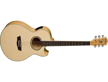 washburn ea-20