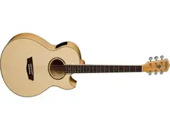 washburn ea-20 main image