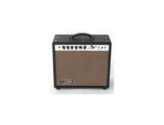 Carr Sportsman 19 Watt Amplifier