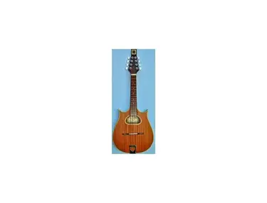 Paul Hathway M-4 Mandolin