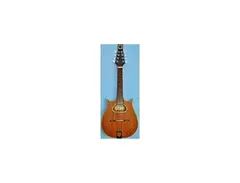Paul Hathway M-4 Mandolin main image