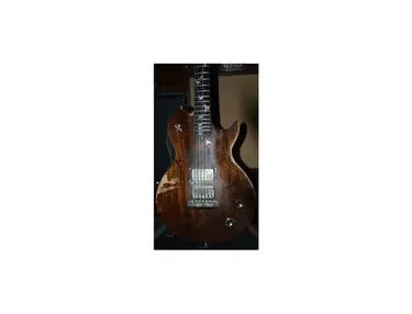 Dan Johnson "Bird" Custom Electric Guitar