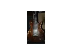 Dan Johnson "Bird" Custom Electric Guitar