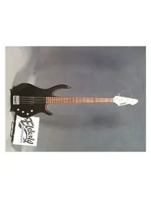 Peavey Fury II Bass