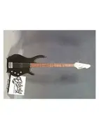 Peavey Fury II Bass is a newer version of Peavey Fury