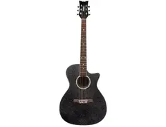 Daisy Rock Wildwood Acoustic/Electric Guitar