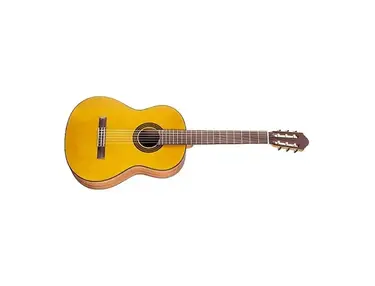 Walden Guitars N550 Natura Classical Guitar