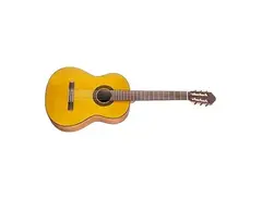 Walden Guitars N550 Natura Classical Guitar main image