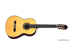 Yamaha GC-21 main image