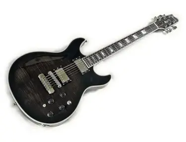 Fender Robben Ford Model