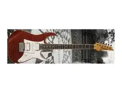 Ibanez RT650 main image