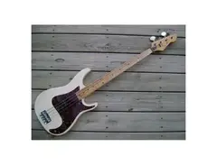 Peavey Fury