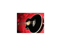 R.W. Jameson Acoustic/Electric Bass Left-handed main image