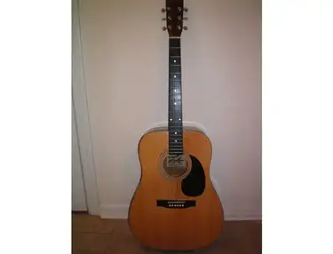 L.A. Guitars Acoustic