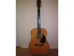 L.A. Guitars Acoustic main image