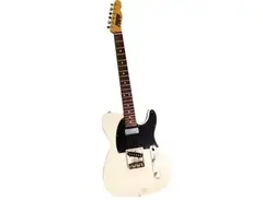 HRT Custom Hollow Telecaster main image