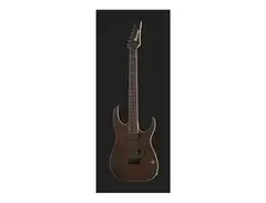 Ibanez RGIR20BFE-WNF