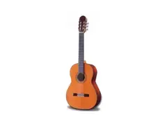 Raimundo Guitars mod 130 main image