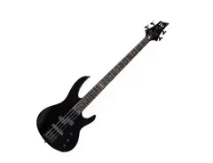 LTD Bass Guitar