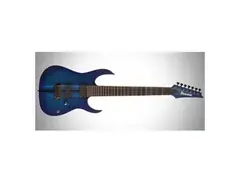 Ibanez RGIT27FE Iron Label 7-String Electric Guitar