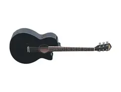 Washburn EA16-BP