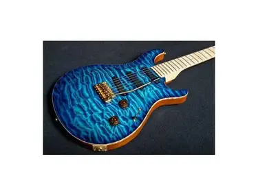 PRS Private Stock 305 Electric Guitar